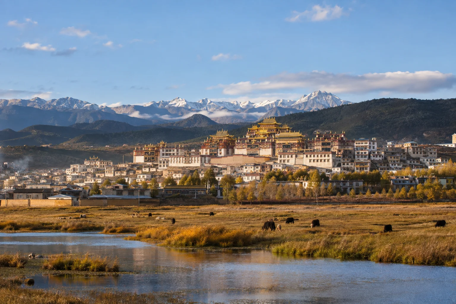Songzanlin monastery and grazing land on the Shangri-La plateau